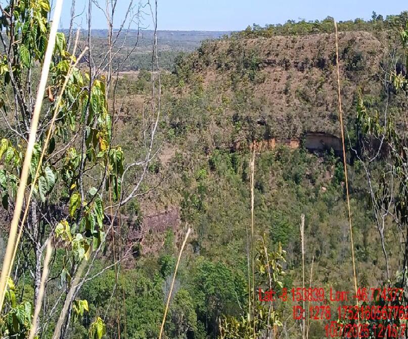 Foto 3 de 4: Area Rural em leilão em Campos Lindos - TO — Imóvel Rural | Campos Lindos/TO