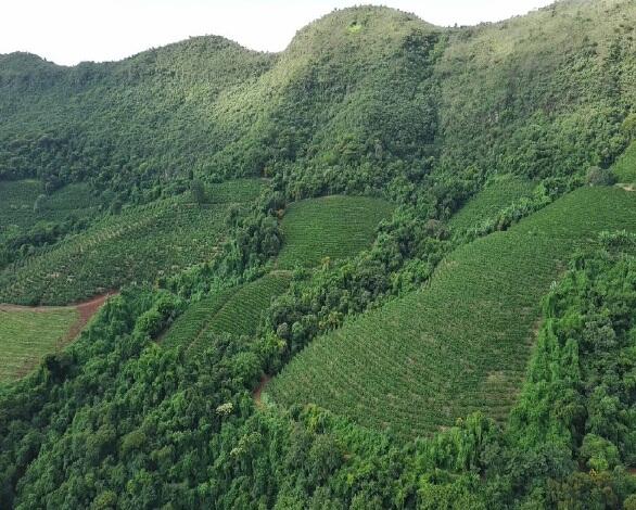 Foto 6 de 8: Area Rural em leilão em Boa Esperança - MG — Imóvel Rural | Boa Esperança/MG