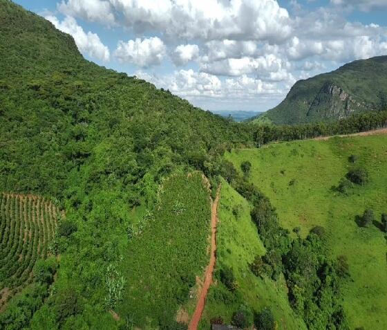 Foto 1 de 8: Area Rural em leilão em Boa Esperança - MG — Imóvel Rural | Boa Esperança/MG