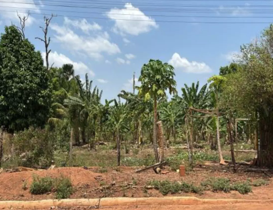 Foto 1 de 4: Terreno em leilão em São João Do Paraíso - MA, bairro Centro — Terreno/Lote | São João do Paraiso/MA