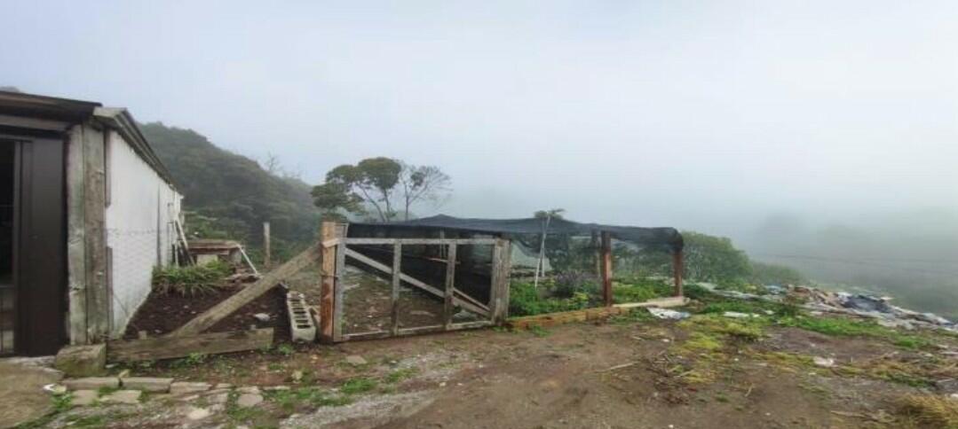 Foto 1 de 5: Terreno em leilão em Caxias Do Sul - RS, bairro Serrano — Terreno/Lote | Caxias do Sul/RS
