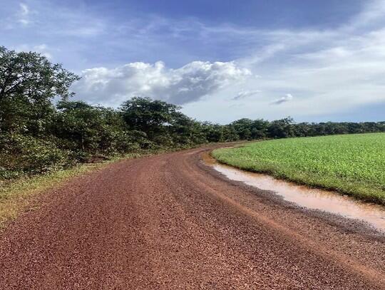 Foto 4 de 4: Area Rural em leilão em Riachão - MA — Imóvel Rural | Riachão/MA
