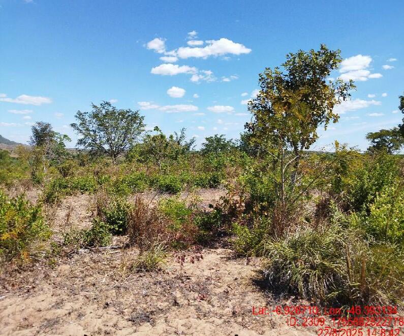 Foto 2 de 8: Area Rural em leilão em São Pedro Dos Crentes - MA, bairro Data Santo Antonio — Imóvel Rural | São Pedro dos Crentes/MA