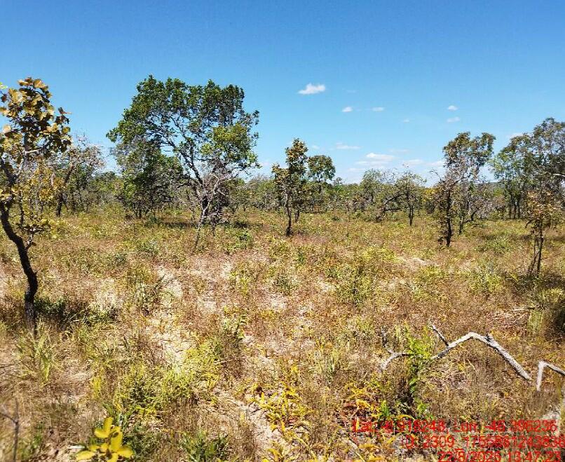 Foto 4 de 8: Area Rural em leilão em São Pedro Dos Crentes - MA, bairro Data Santo Antonio — Imóvel Rural | São Pedro dos Crentes/MA