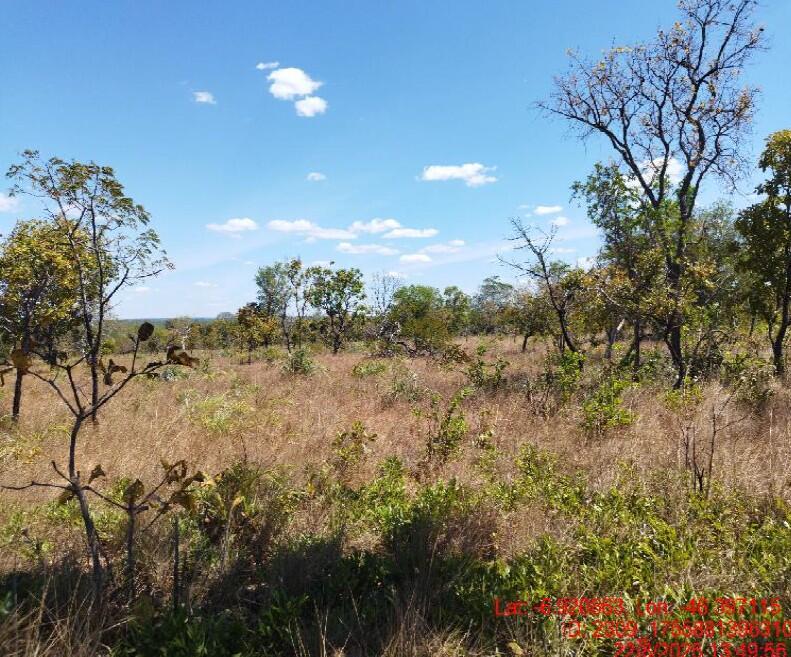 Foto 5 de 8: Area Rural em leilão em São Pedro Dos Crentes - MA, bairro Data Santo Antonio — Imóvel Rural | São Pedro dos Crentes/MA