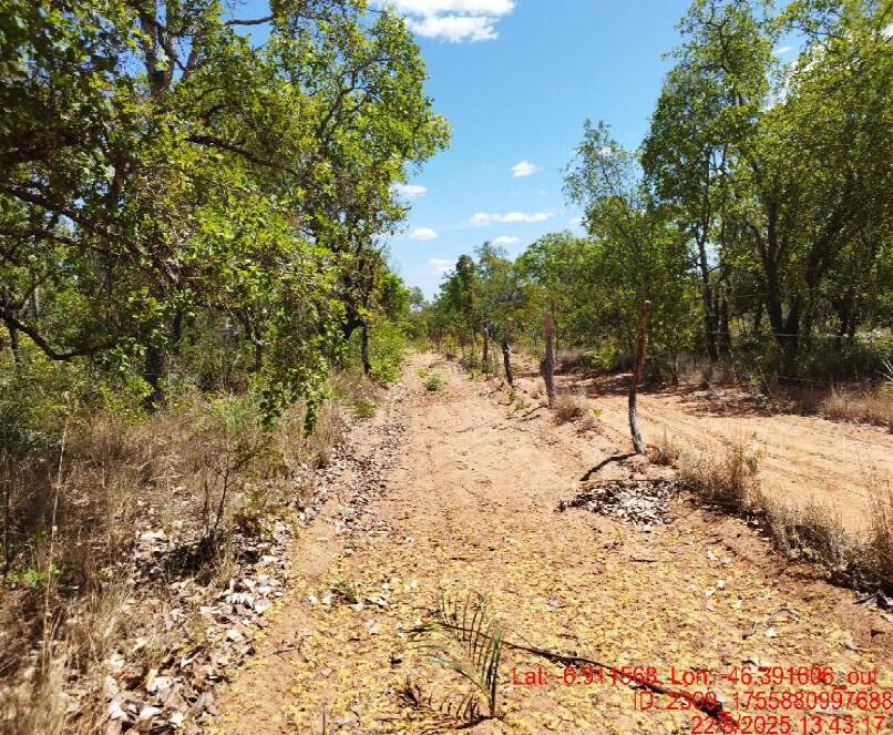 Foto 8 de 8: Area Rural em leilão em São Pedro Dos Crentes - MA, bairro Data Santo Antonio — Imóvel Rural | São Pedro dos Crentes/MA