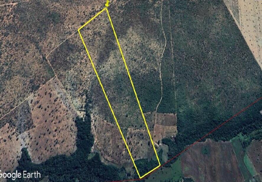 Foto 1 de 8: Area Rural em leilão em São Pedro Dos Crentes - MA, bairro Data Santo Antonio — Imóvel Rural | São Pedro dos Crentes/MA