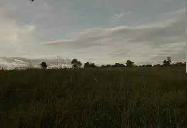 Foto 3 de 4: Area Rural em leilão em Ribeirão Do Largo - BA — Imóvel Rural | Ribeirão do Largo/BA