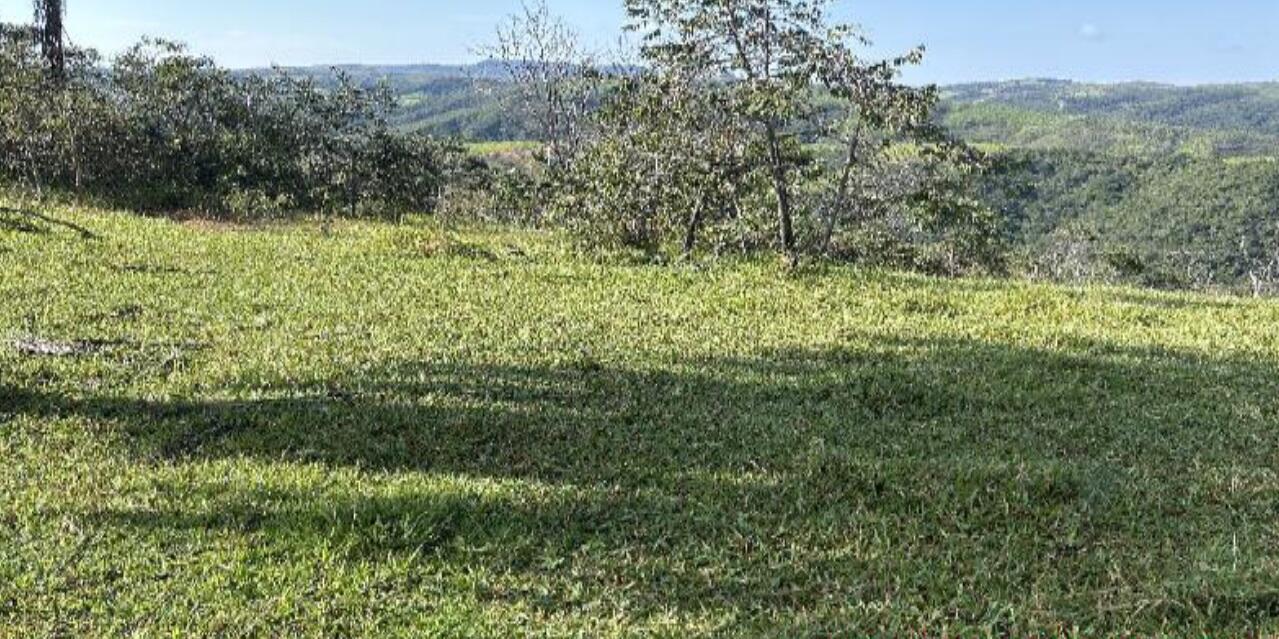 Foto 1 de 4: Area Rural em leilão em Tiros - MG — Imóvel Rural | Tiros/MG