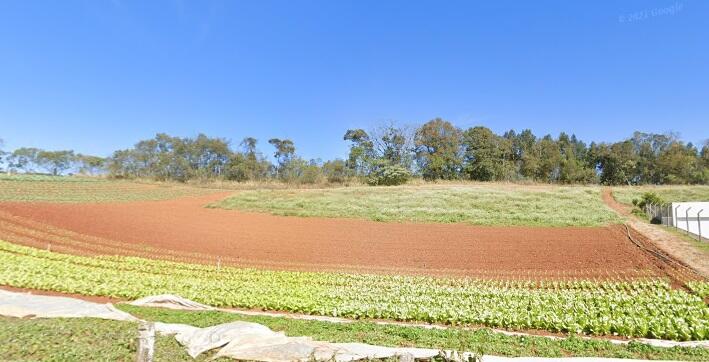 Foto 2 de 4: Area Rural em leilão em Colombo - PR — Imóvel Rural | Colombo/PR