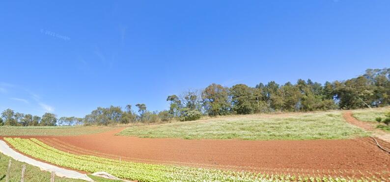 Foto 4 de 4: Area Rural em leilão em Colombo - PR — Imóvel Rural | Colombo/PR