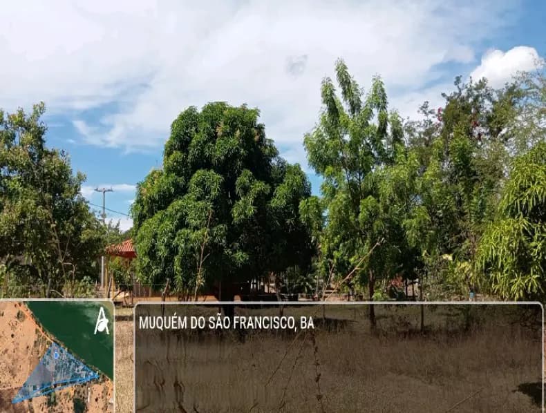 Foto 1 de 4: Area Rural em leilão em Muquém Do São Francisco - BA — Imóvel Rural | Muquém do São Francisco/BA