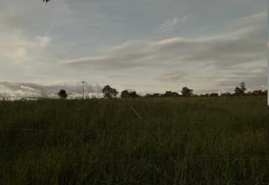 Foto 3 de 4: Area Rural em leilão em Ribeirão Do Largo - BA — Imóvel Rural | Ribeirão do Largo/BA