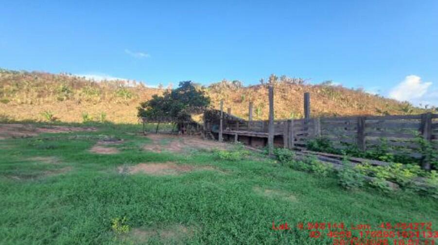 Foto 1 de 2: Area Rural em leilão em Paulo Ramos - MA — Imóvel Rural | Paulo Ramos/MA