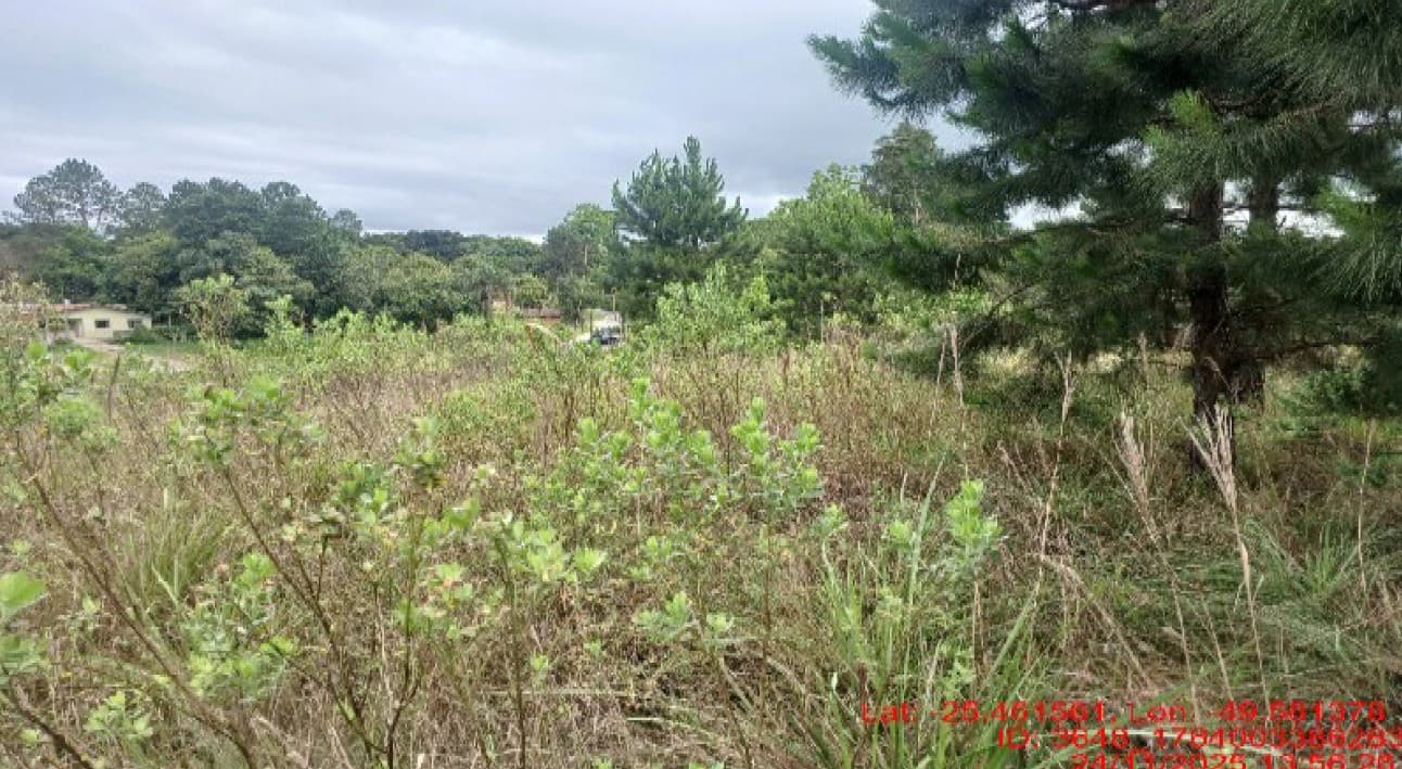 Foto 1 de 4: Area Rural em leilão em Balsa Nova - PR — Imóvel Rural | Balsa Nova/PR