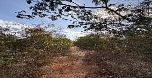 Foto 2 de 8: Area Rural em leilão em Rio Pardo De Minas - MG — Imóvel Rural | Rio Pardo de Minas/MG