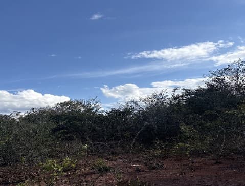 Foto 5 de 8: Area Rural em leilão em Rio Pardo De Minas - MG — Imóvel Rural | Rio Pardo de Minas/MG