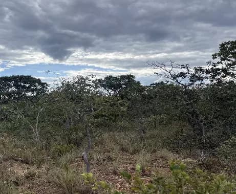 Foto 8 de 8: Area Rural em leilão em Rio Pardo De Minas - MG — Imóvel Rural | Rio Pardo de Minas/MG