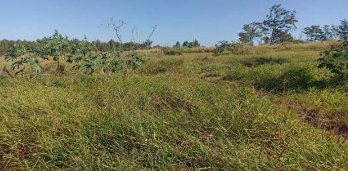 Foto 1 de 4: Area Rural em leilão em Itaúna Do Sul - PR — Imóvel Rural | Itaúna do Sul/PR