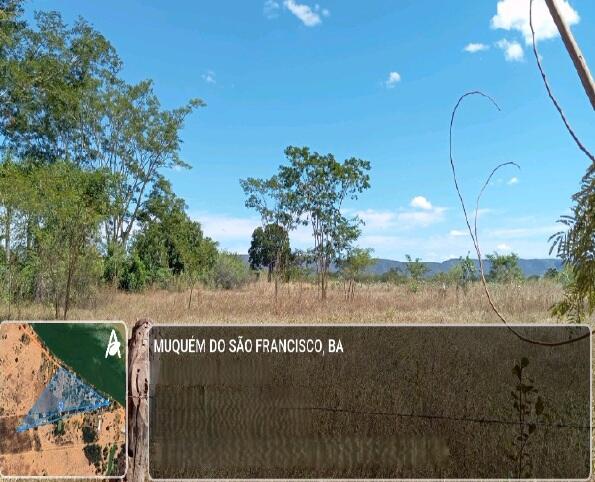 Foto 2 de 5: Area Rural em leilão em Muquém Do São Francisco - BA — Imóvel Rural | Muquém do São Francisco/BA