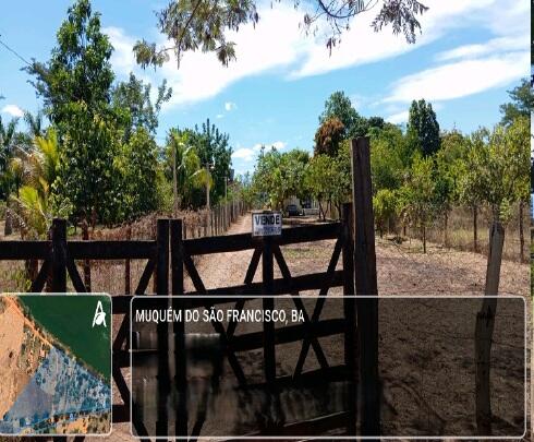 Foto 3 de 5: Area Rural em leilão em Muquém Do São Francisco - BA — Imóvel Rural | Muquém do São Francisco/BA