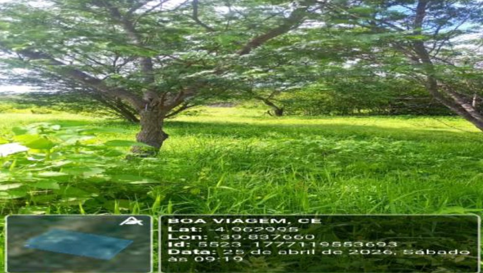 Foto 3 de 5: Area Rural em leilão em Boa Viagem - CE — Imóvel Rural | Boa Viagem/CE