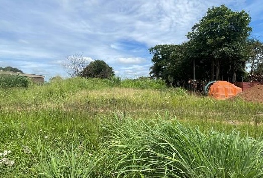 Foto 4 de 5: Terreno em leilão em Morrinhos - GO, bairro Distrito de Pequenas Indústrias — Terreno/Lote | Morrinhos/GO