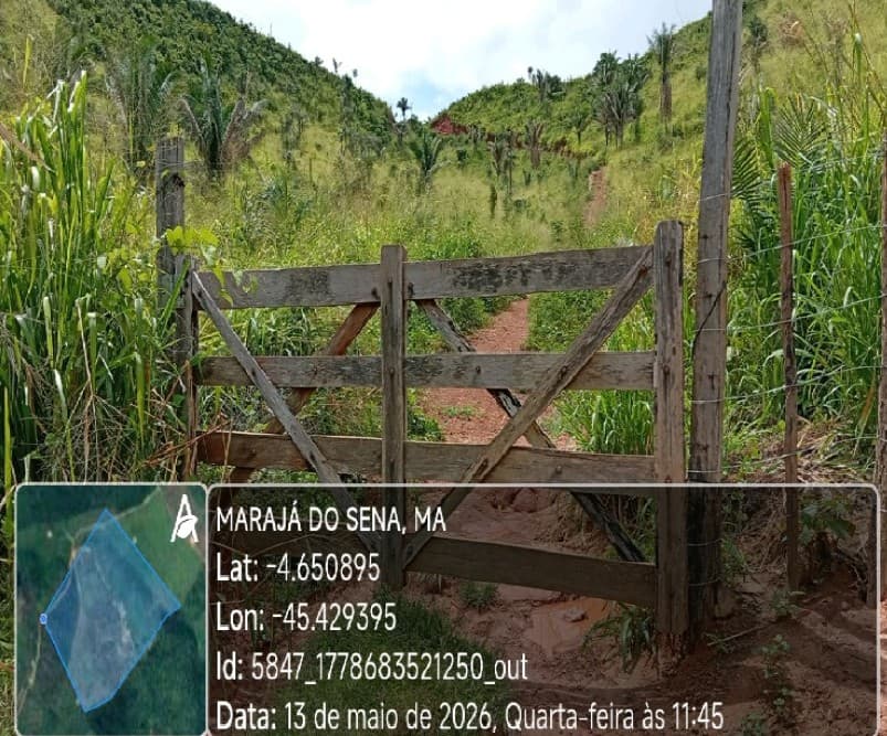 Foto 3 de 4: Area Rural em leilão em Marajá Do Sena - MA — Imóvel Rural | Marajá do Sena/MA