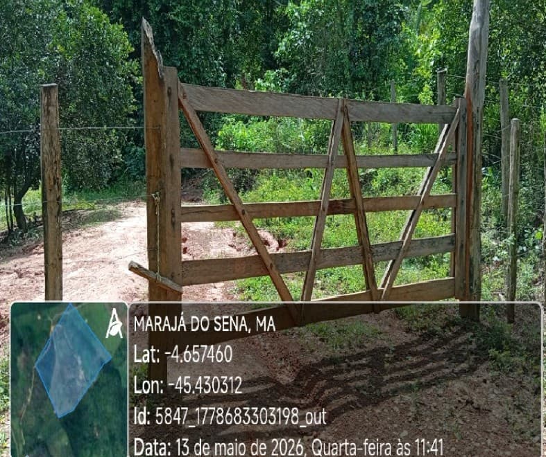 Foto 4 de 4: Area Rural em leilão em Marajá Do Sena - MA — Imóvel Rural | Marajá do Sena/MA