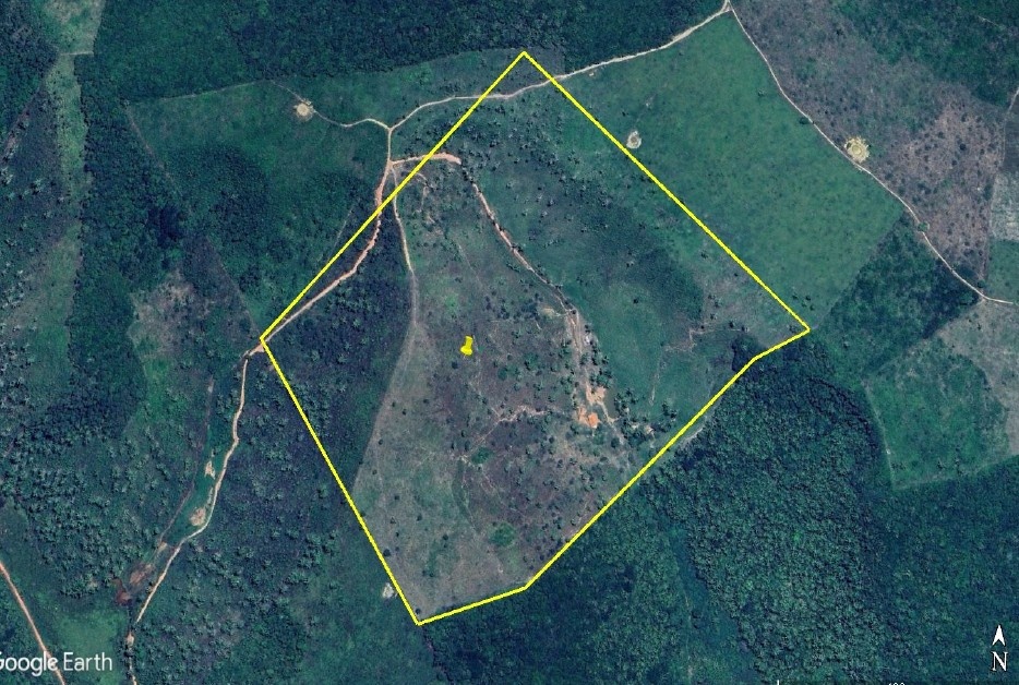 Foto 1 de 4: Area Rural em leilão em Marajá Do Sena - MA — Imóvel Rural | Marajá do Sena/MA