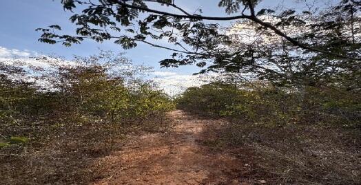 Foto 2 de 9: Area Rural em leilão em Rio Pardo De Minas - MG — Imóvel Rural | Rio Pardo de Minas/MG