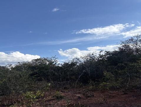 Foto 5 de 9: Area Rural em leilão em Rio Pardo De Minas - MG — Imóvel Rural | Rio Pardo de Minas/MG