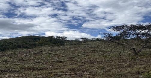 Foto 1 de 9: Area Rural em leilão em Rio Pardo De Minas - MG — Imóvel Rural | Rio Pardo de Minas/MG