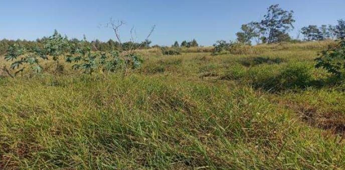 Foto 4 de 4: Area Rural em leilão em Itaúna Do Sul - PR — Imóvel Rural | Itaúna do Sul/PR