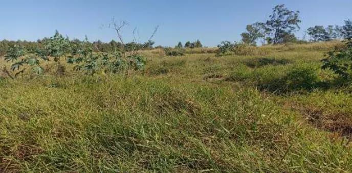 Foto 1 de 4: Area Rural em leilão em Itaúna Do Sul - PR — Imóvel Rural | Itaúna do Sul/PR