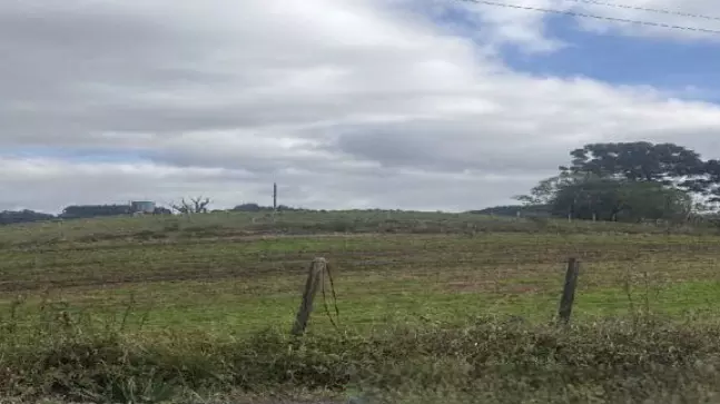 Foto 2 de 8: Area Rural em leilão em Farroupilha - RS — Imóvel Rural | Farroupilha/RS