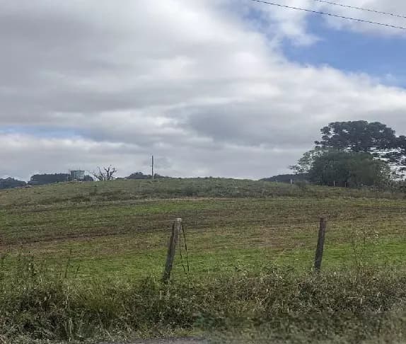 Foto 4 de 8: Area Rural em leilão em Farroupilha - RS — Imóvel Rural | Farroupilha/RS