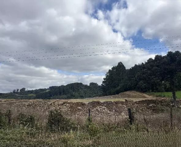 Foto 5 de 8: Area Rural em leilão em Farroupilha - RS — Imóvel Rural | Farroupilha/RS