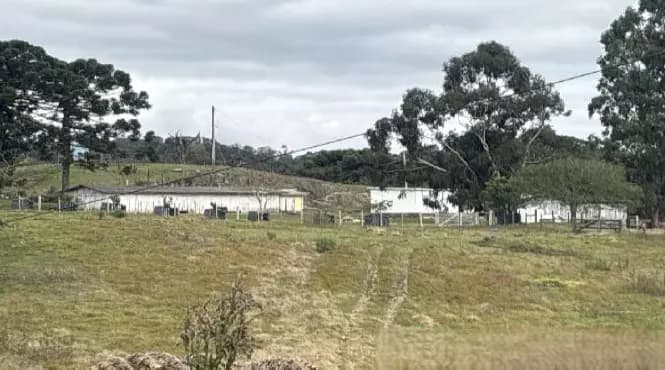 Foto 1 de 8: Area Rural em leilão em Farroupilha - RS — Imóvel Rural | Farroupilha/RS
