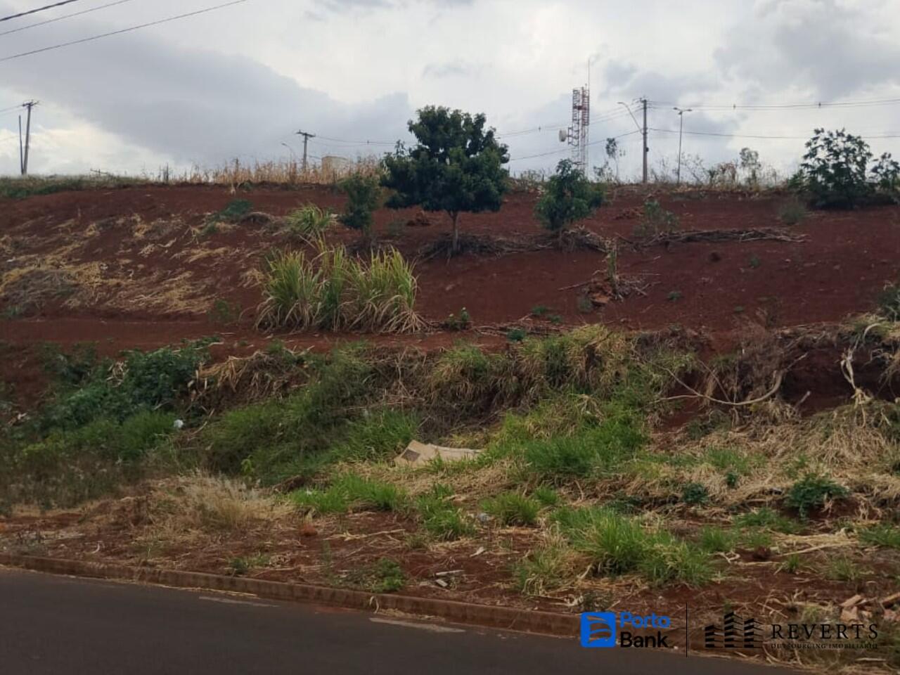 Foto 3 de 4: Terreno em leilão em Altinópolis - SP, bairro Jardim Nova Altinópolis — Terreno/Lote | Altinópolis/SP