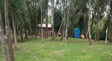 Foto 4 de 8: Area Rural em leilão em São José Dos Pinhais - PR — Imóvel Rural | São José dos Pinhais/PR