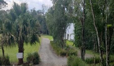 Foto 6 de 8: Area Rural em leilão em São José Dos Pinhais - PR — Imóvel Rural | São José dos Pinhais/PR