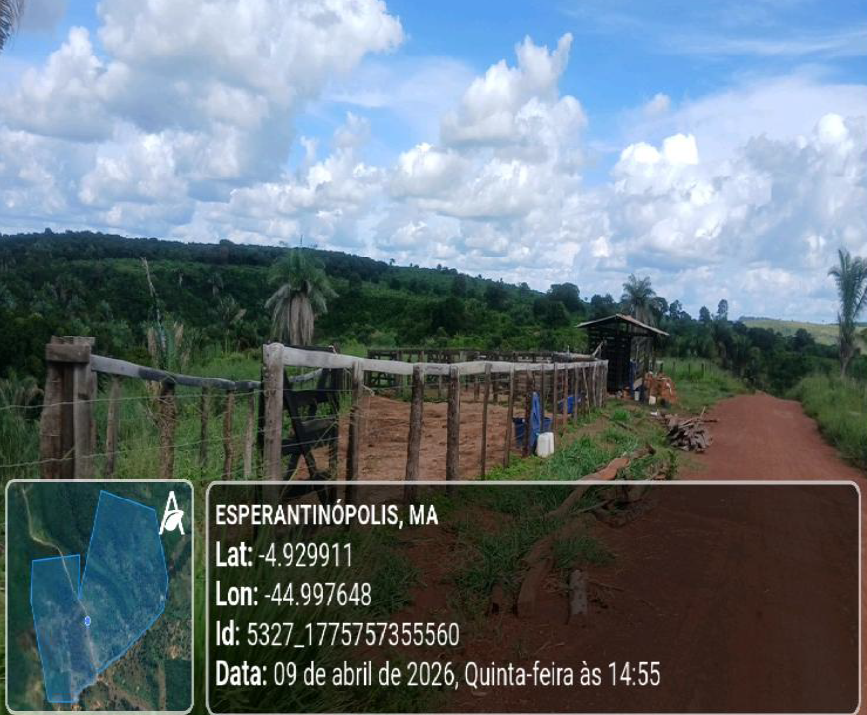 Foto 2 de 5: Area Rural em leilão em Esperantinópolis - MA — Imóvel Rural | Esperantinópolis/MA