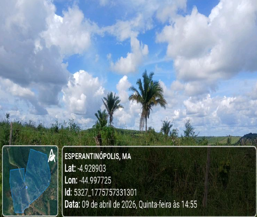 Foto 3 de 5: Area Rural em leilão em Esperantinópolis - MA — Imóvel Rural | Esperantinópolis/MA