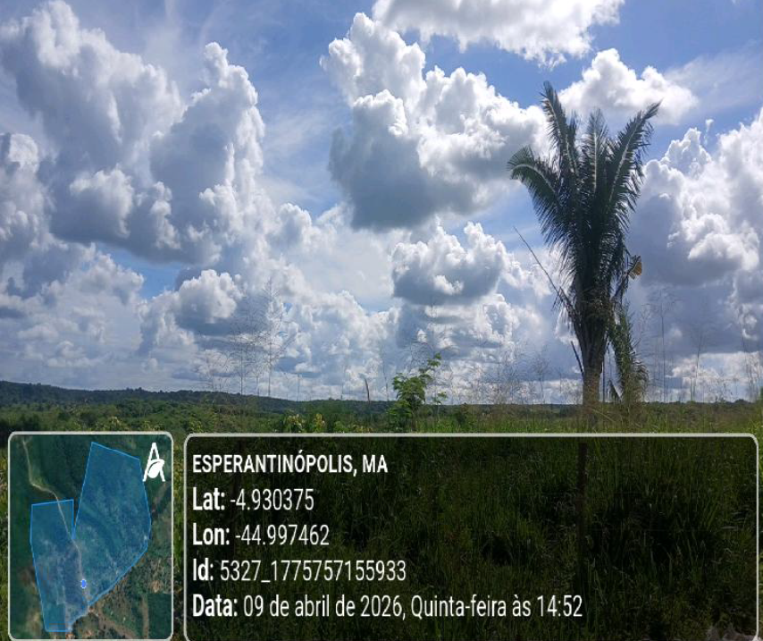 Foto 4 de 5: Area Rural em leilão em Esperantinópolis - MA — Imóvel Rural | Esperantinópolis/MA
