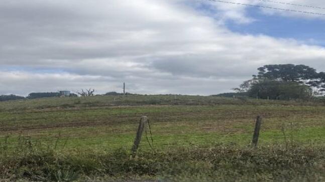Foto 2 de 8: Area Rural em leilão em Farroupilha - RS — Imóvel Rural | Farroupilha/RS