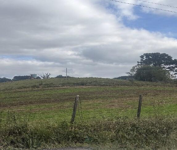 Foto 4 de 8: Area Rural em leilão em Farroupilha - RS — Imóvel Rural | Farroupilha/RS