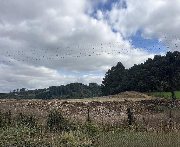 Foto 5 de 8: Area Rural em leilão em Farroupilha - RS — Imóvel Rural | Farroupilha/RS