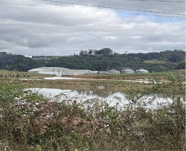 Foto 6 de 8: Area Rural em leilão em Farroupilha - RS — Imóvel Rural | Farroupilha/RS