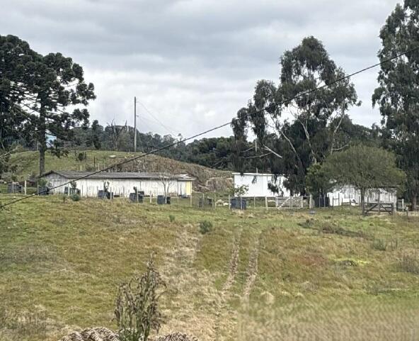 Foto 7 de 8: Area Rural em leilão em Farroupilha - RS — Imóvel Rural | Farroupilha/RS